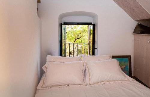 PositiveSpace Olive Tree - Foto 42