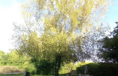 Terre Happy - Foto 9