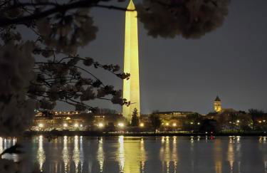 Beautiful Basement Suite & Outdoor Oasis - Photo 29