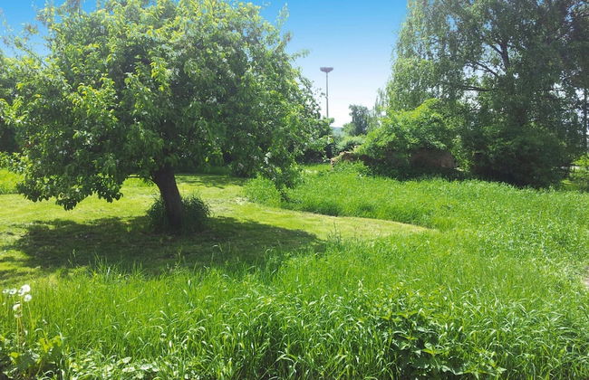 XXL Ferienhaus mit Sauna in Upost - Foto 60