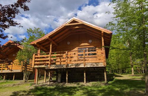 Domki w lesie nad Drawskim - Foto 1