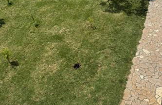Family friendly house with a swimming pool Gornje Rastane, Biograd - 24616 - Foto 21