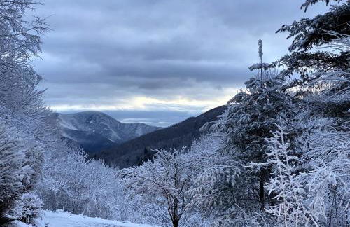 Romantic Getaway or Family Vacay with Mountain Views & Hot Tub - Foto 62