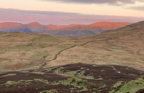 The Old Garage Apartments - Foto 15