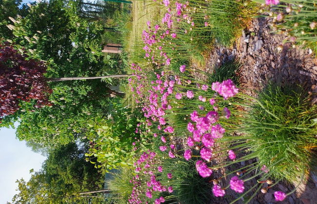 Blue Lagoon - Vacation Home in Nowe Warpno - Foto 21