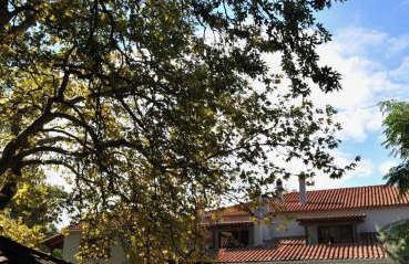 Κonitsa Gefyri hotel - Photo 67