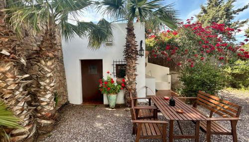 La Washingtonia - Foto 5, Garden