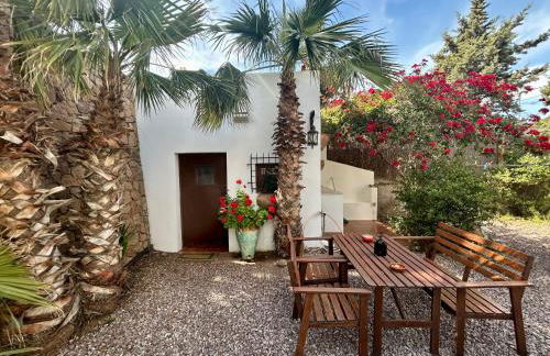 La Washingtonia - Foto 5