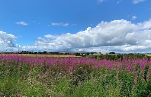 Farmtoun Cottage - Foto 26