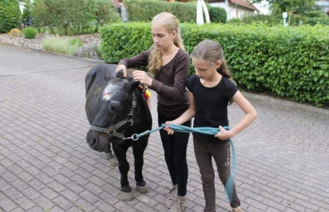 Detached Home in Germany With Loggia - Foto 17