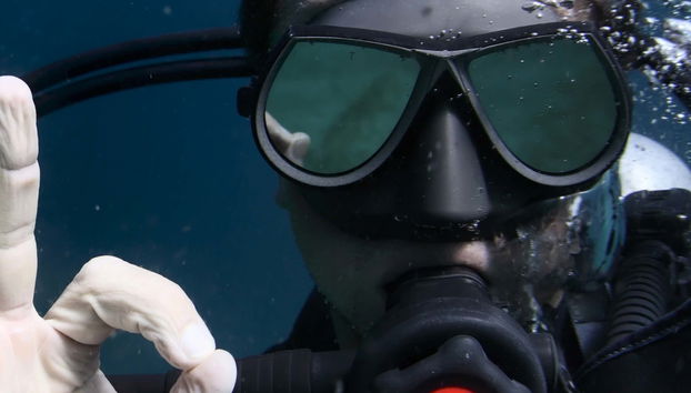 Santa Pola Diving Introduction - Foto 4