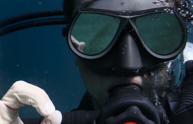 Santa Pola Diving Introduction - Foto 4