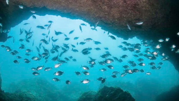 Explorando una cueva en el Parque Natural de Arrábida