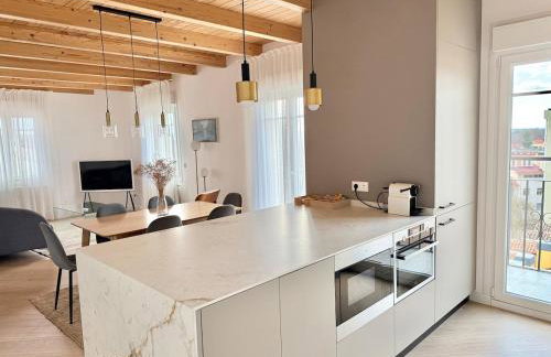 Señorial Panorámico by apartamentoscatedralcamino - Foto 14