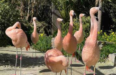 MENELAUS Stone House - Foto 33