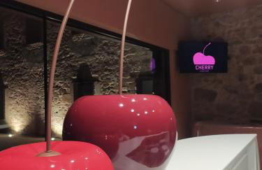 Cherry Sculpture Hotel - Foto 14
