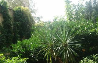 Down-Town-Oasis - Foto 15