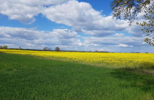 Inselhof Usedom - Foto 22