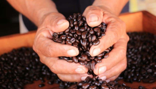 Podréis adquirir un excelente café