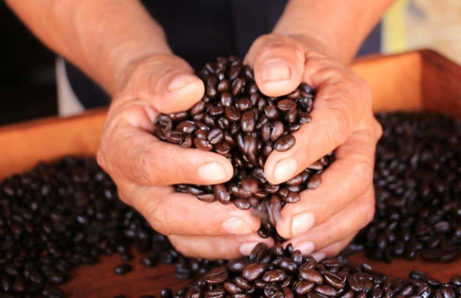 Tour dello shopping a Puerto Escondido - Foto 2