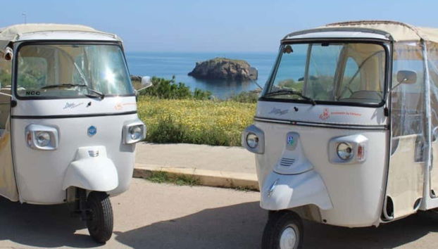 Véhicules pour la balade