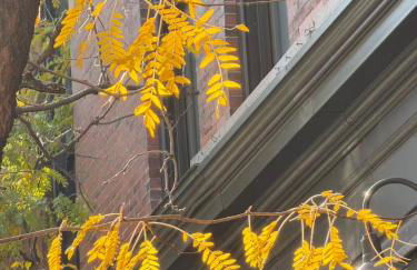 Spacious 3B2B Downtown Apt, Kitchen and Laundry, Walk to PPAC & Convention Center - Foto 39