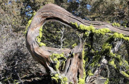 Peaceful Waterfront Log Cabin near Crater Lake National Forest, Oregon - Foto 19