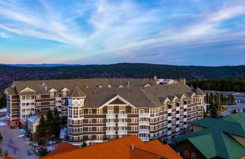 Allegheny Spring 326, ski in out, Pool HotTub - Foto 26