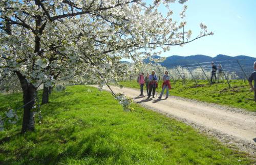 Haus am Blauenbach - Foto 35