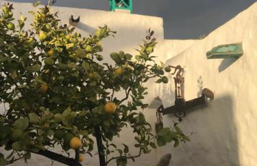 Casa Alegría - Foto 62