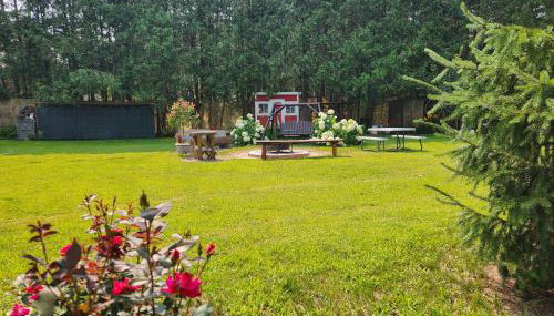 M&M Haven - Foto 2, Garden view