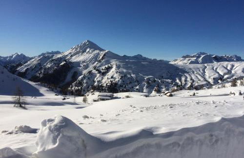 Cesa Fossal - Foto 49