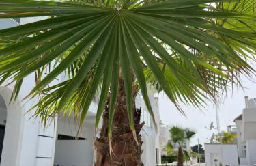 Casa La Mariposa - Photo 24