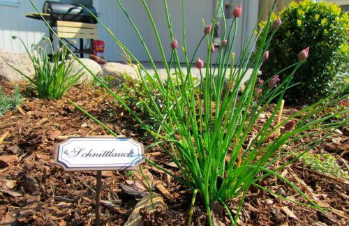 "Ferienhaus II - Hof Westensee" - Foto 17