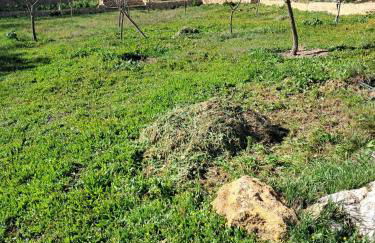 3 Bed Lodge - Sleeps 6 - Pool - Terrace - Parking - Foto 14