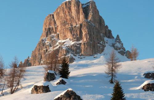 Cesa Fossal - Foto 28