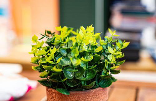 Corfu Sunset Glow-Katherina Maisonette - Foto 26