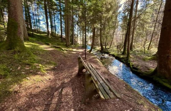 Ferienwohnung mit Balkon im Schwarzwald - Foto 29
