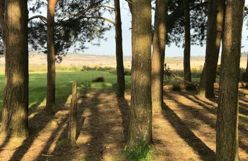 Swanky & Spacious Luxury 3 Bed - Foto 21