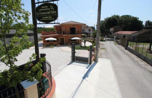 Azienda Agrituristica La Tenuta del Falco - Foto 1