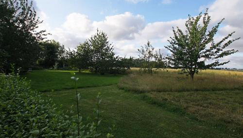 Cozy cottage overlooking fields, Upwell - Photo 3