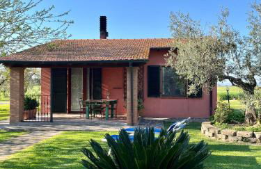 Agriturismo Valdo - Foto 7