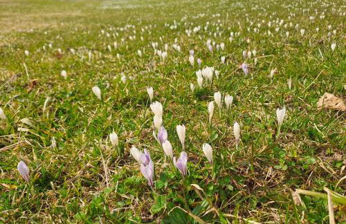 Bauernhaus Jocher - Foto 28