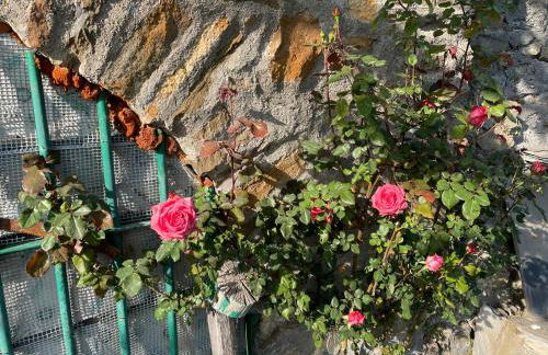 Casa di nonno Memé CITRA 008035-LT-0018 - Photo 70