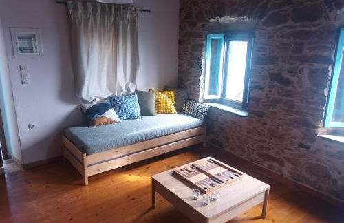 Λιθόκτιστη παραδοσιακή οικία - Foto 14