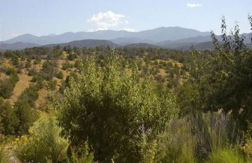 Artist Road #31 - Foto 4