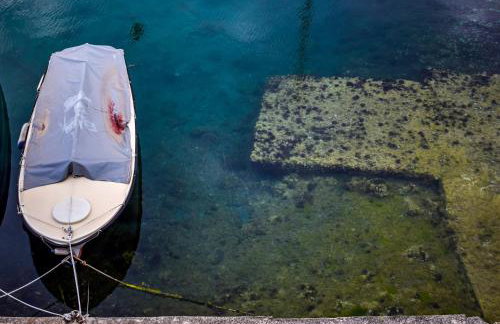 Maslinčica - Foto 18