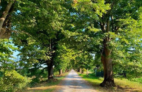 Agriturismo Tenuta Castel Venezze - Foto 131