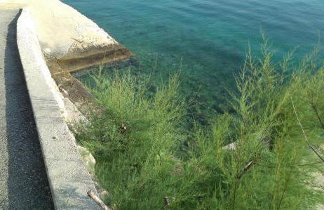 Apartments Marija - Foto 12