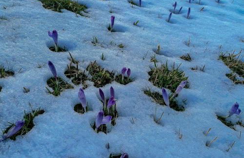 Willa Rąbanisko z sauną fińską - Foto 79